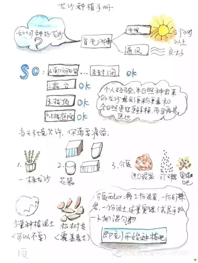 龙沙宝石的种植方法 龙沙宝石的种植方法