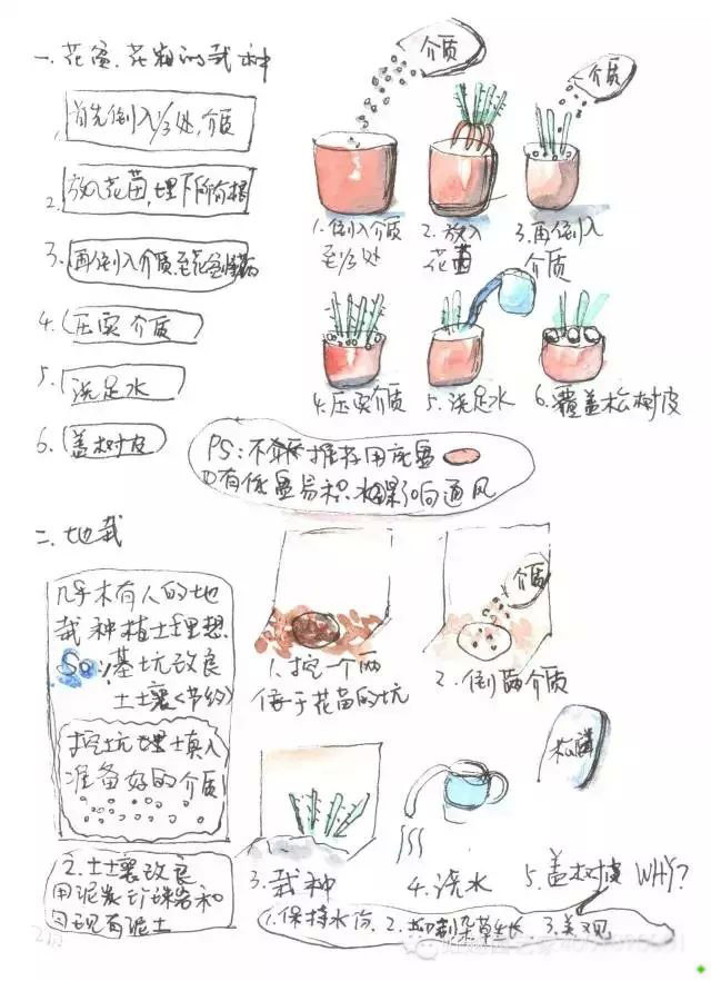龙沙宝石的种植方法 龙沙宝石的种植方法