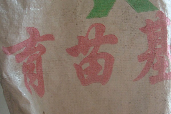 藤本月季上盆缓苗要点详解 藤本月季上盆缓苗要点详解