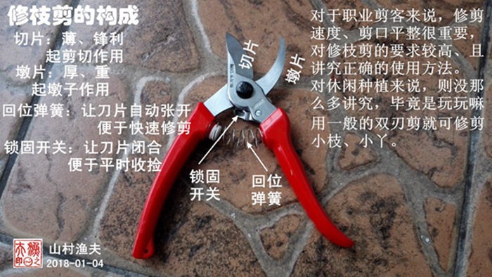 关于修枝剪的使用方法及注意事项 关于修枝剪的使用方法及注意事项