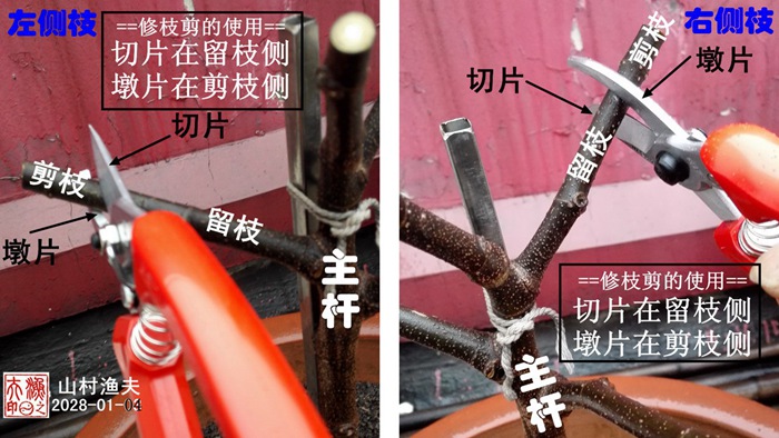 关于修枝剪的使用方法及注意事项 关于修枝剪的使用方法及注意事项