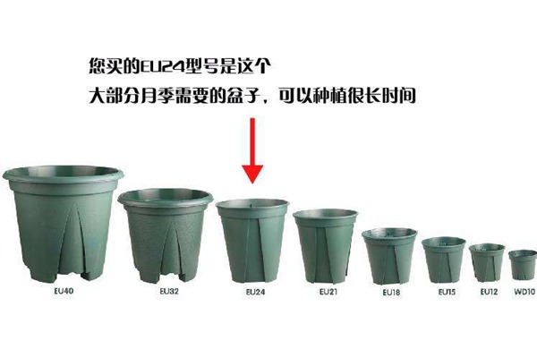 什么是控根盆,它有什么优点? 什么是控根盆,它有什么优点?