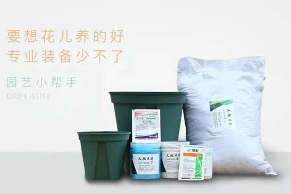 网购的月季到货后怎么盆栽 网购的月季到货后怎么盆栽