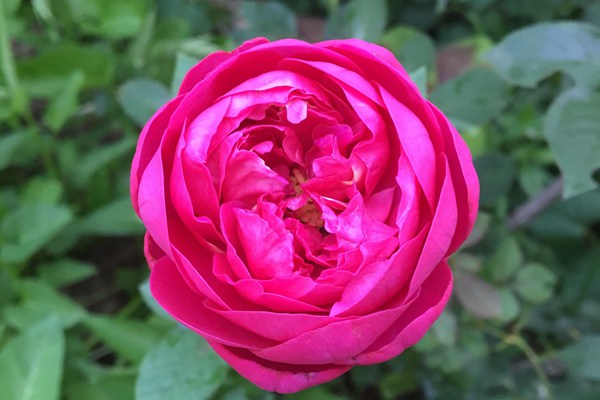1521961088912929.jpg 10.jpg