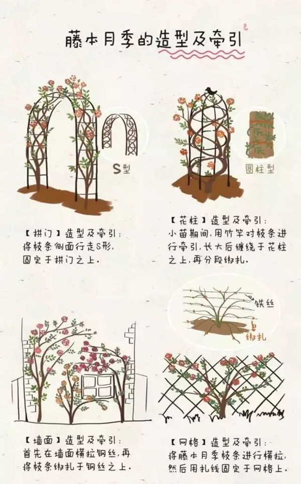 1523500960981527.jpg 让龙沙宝石开爆的小秘诀4.jpg