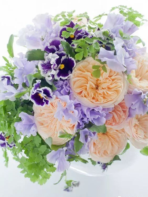 1525054817524919.jpg 零基础插花指南,让你的月季从花园美到家