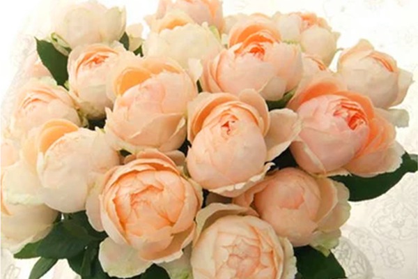 杏色粉底 杏色粉底Apricot foundation