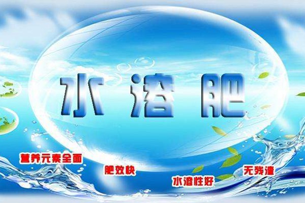 月季最常用的「水溶肥」,挑选关键在于“钙”和“镁” 月季最常用的「水溶肥」,挑选关键在于“钙”和“镁”