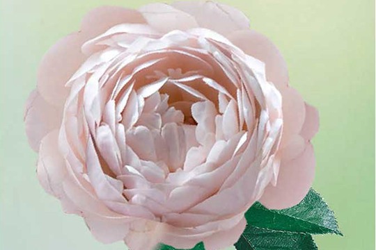 维希 维希Vichy