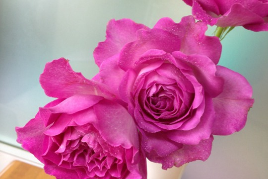 伊芙蓝宝石 伊芙蓝宝石