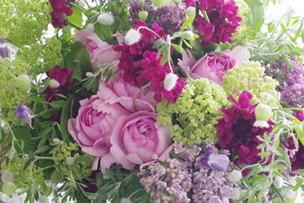 伊芙珍妮・洛里奥 伊芙珍妮・洛里奥