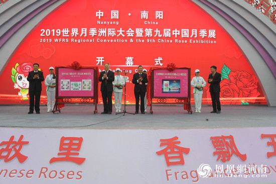 南阳月季甲天下!2019世界月季洲际大会开幕 南阳月季甲天下!2019世界月季洲际大会开幕