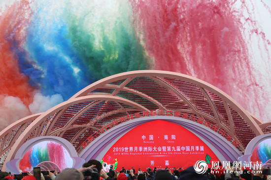 南阳月季甲天下!2019世界月季洲际大会开幕 南阳月季甲天下!2019世界月季洲际大会开幕