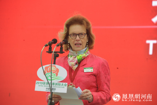 南阳月季甲天下!2019世界月季洲际大会开幕 南阳月季甲天下!2019世界月季洲际大会开幕