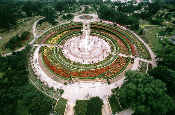 北京植物园月季园 北京植物园月季园
