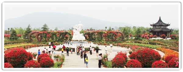 1559564923838153.jpg 中国月季园_副本.jpg