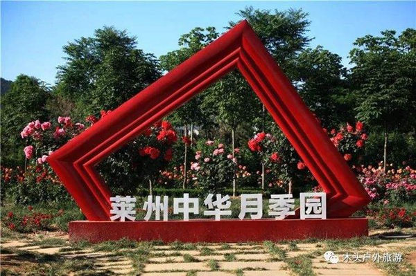 1559564972900860.jpg 莱州中华月季园.jpg