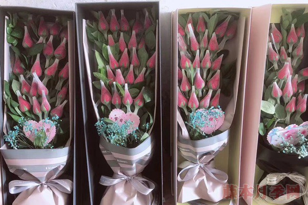 玫瑰花网套什么时候套,怎么套? 玫瑰花网套什么时候套,怎么套?