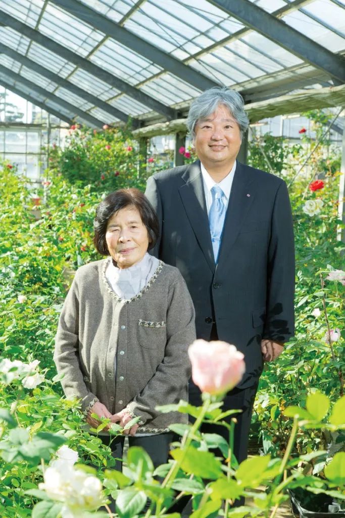 河本纯子|40年孕育出40款新月季的女性育种家 河本纯子|40年孕育出40款新月季的女性育种家
