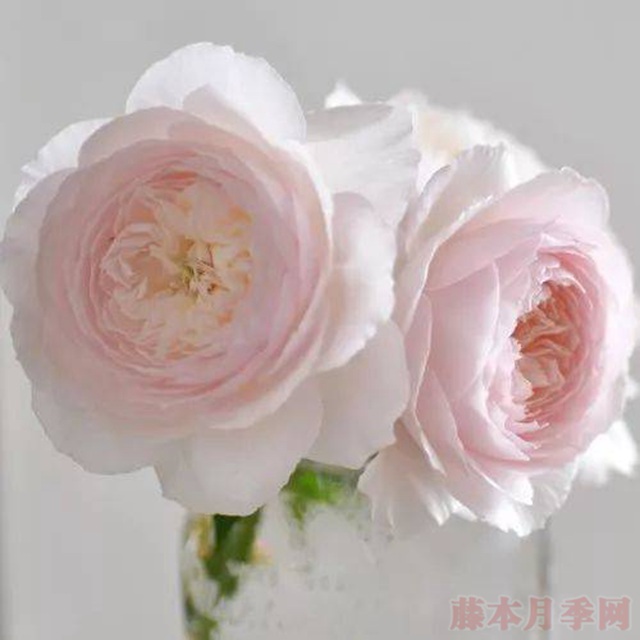 日和 日和