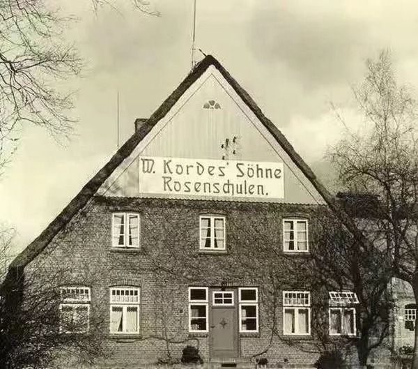 1566784409972424.jpg 拿了83个ADR的月季育种公司:W. Kordes' Söhne