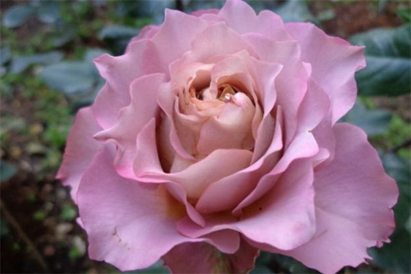 英伦节拍 英伦节拍