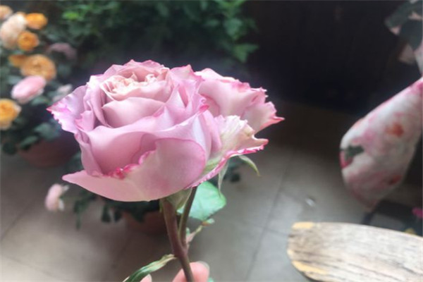 英伦节拍 英伦节拍