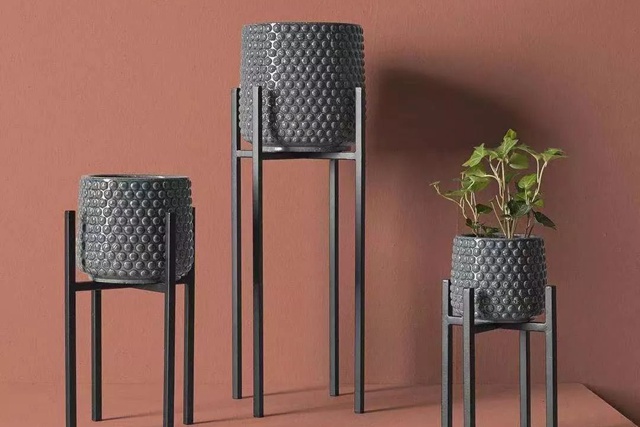 光照不好,还可以种月季吗?选对品种一样可以 光照不好,还可以种月季吗?选对品种一样可以