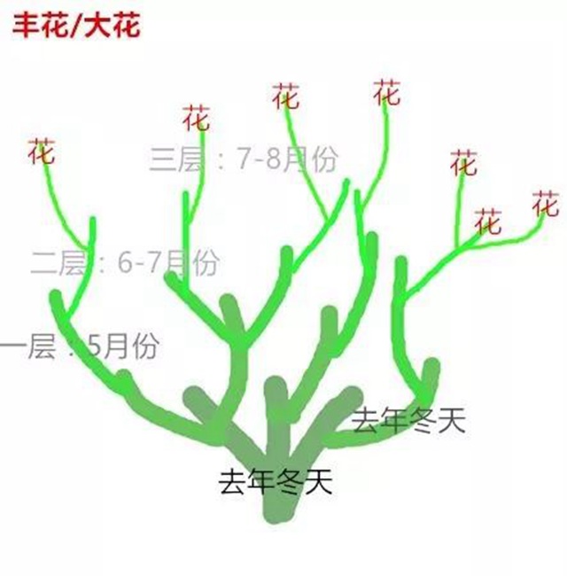 秋季修剪简单的方法来啦 秋季修剪简单的方法来啦