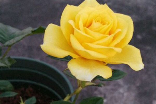 1569122004214274.jpg 1569122012(1).jpg