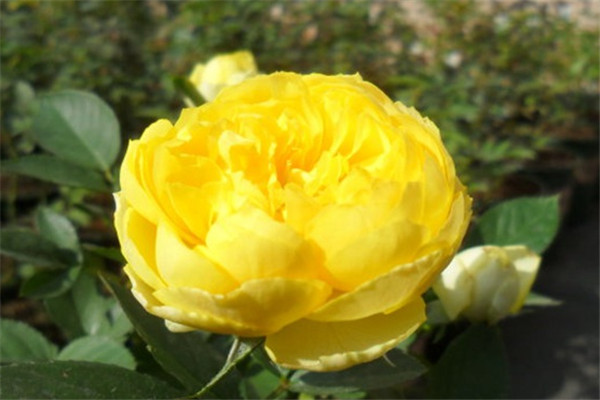1569122028946114.jpg 1569122012(2).jpg