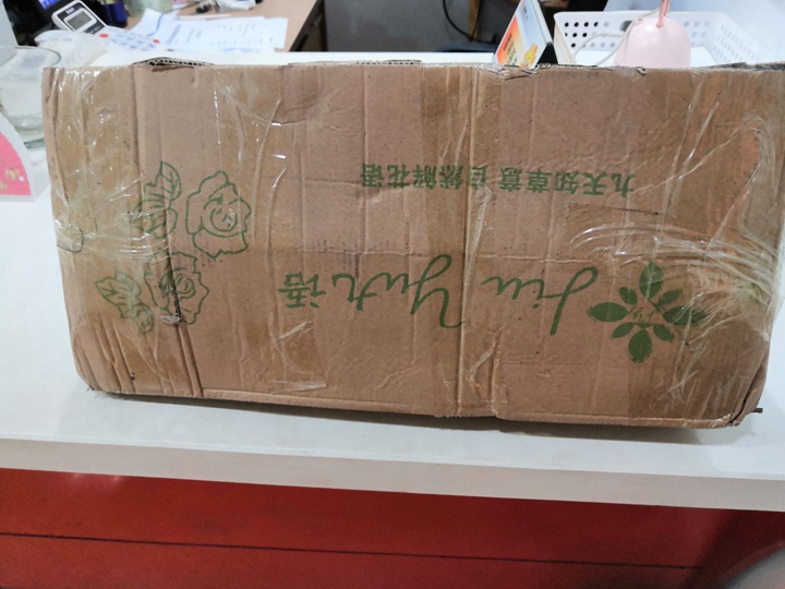 大天使和路西法月季到货开箱 大天使和路西法月季到货开箱