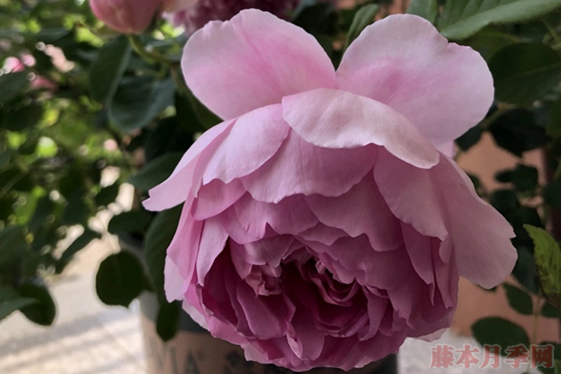 费尔柴尔德 费尔柴尔德
