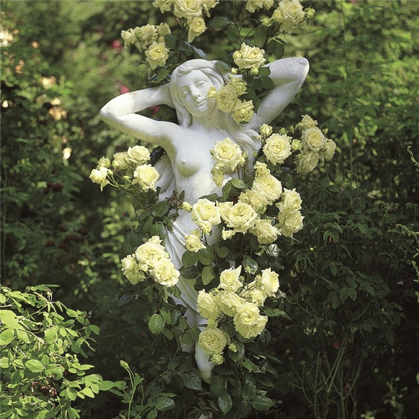 小精灵 小精灵