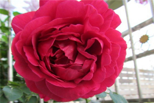 伊芙酒窖 伊芙酒窖