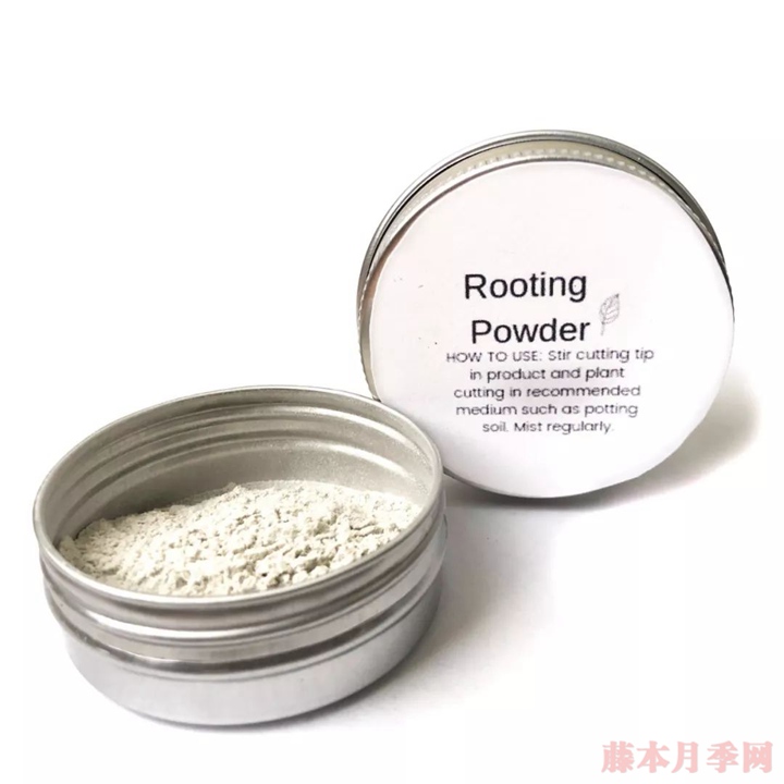 月季移栽要不要洗根,要不要蘸生根粉? 月季移栽要不要洗根,要不要蘸生根粉?