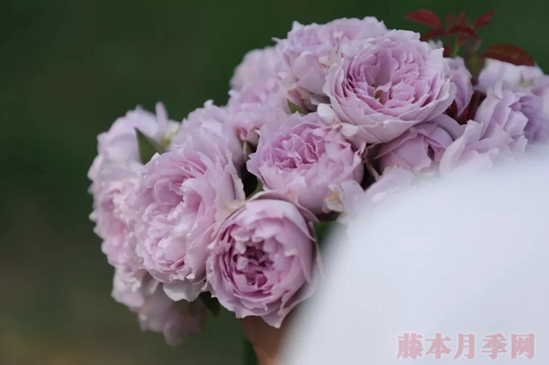 空蒙 空蒙