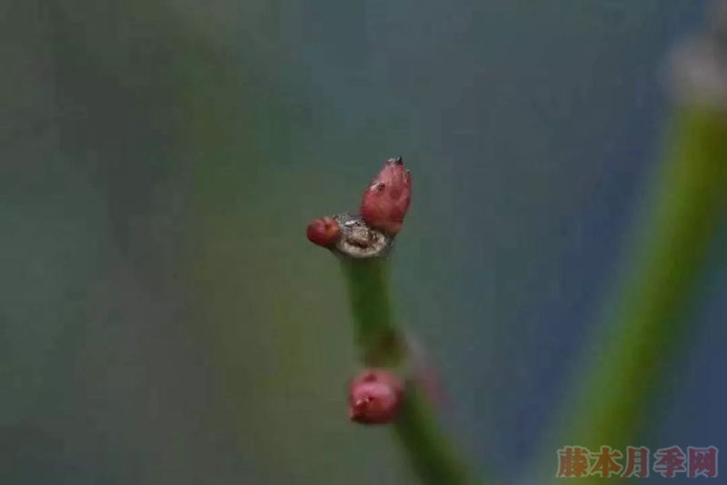 1580701643989633.jpg 2.jpg