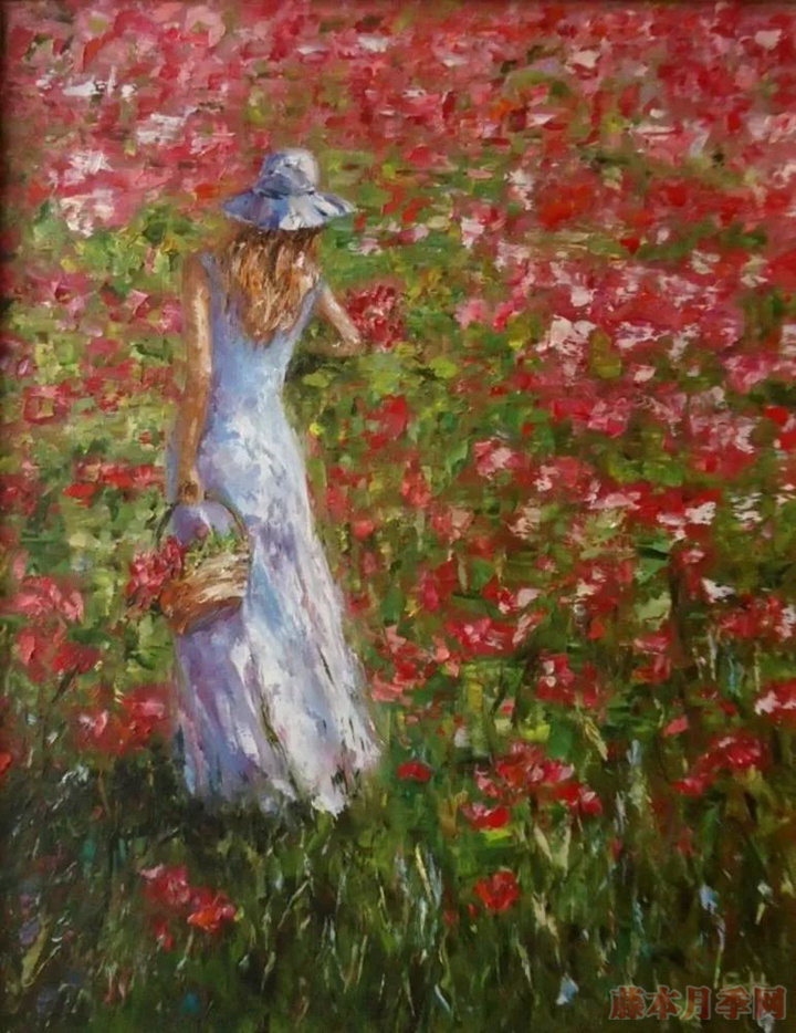 世界著名的月季花园图赏 世界著名的月季花园图赏
