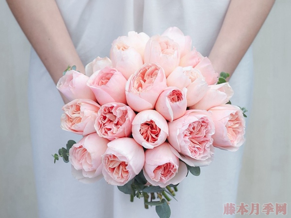 浪漫丽人 浪漫丽人