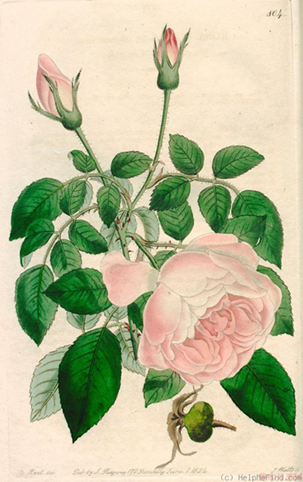 1582677249189346.jpg 27.jpg