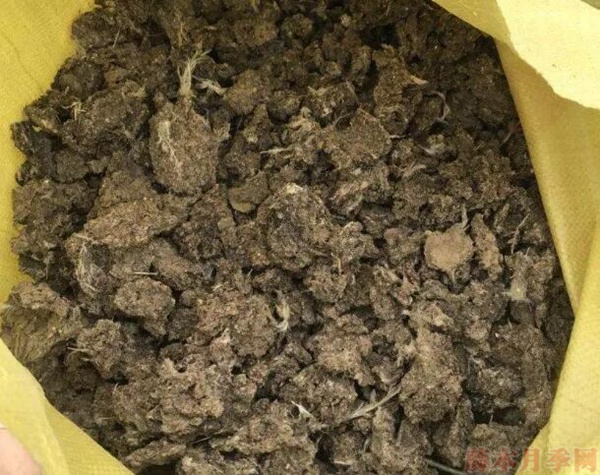 1583246149120370.jpg 1、补充追长效肥2.jpg