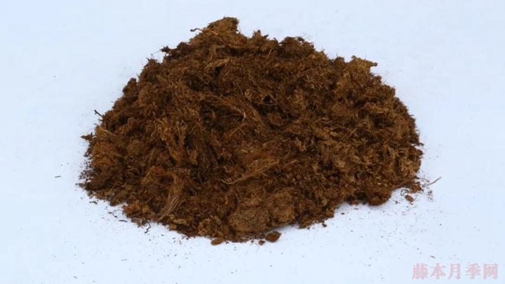 月季种植的土壤如何选择? 月季种植的土壤如何选择?