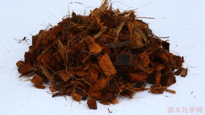 月季种植的土壤如何选择? 月季种植的土壤如何选择?