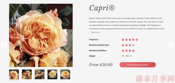 巴黎女人 巴黎女人