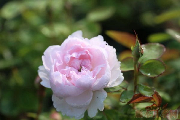 闺蜜 闺蜜