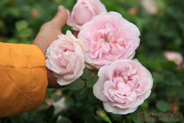 闺蜜 闺蜜