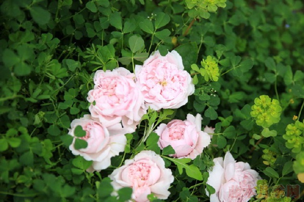 闺蜜 闺蜜
