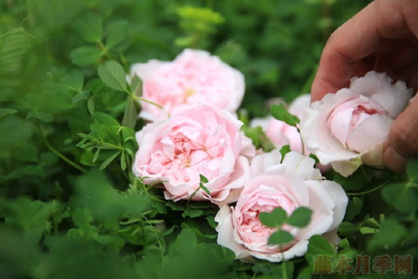 闺蜜 闺蜜