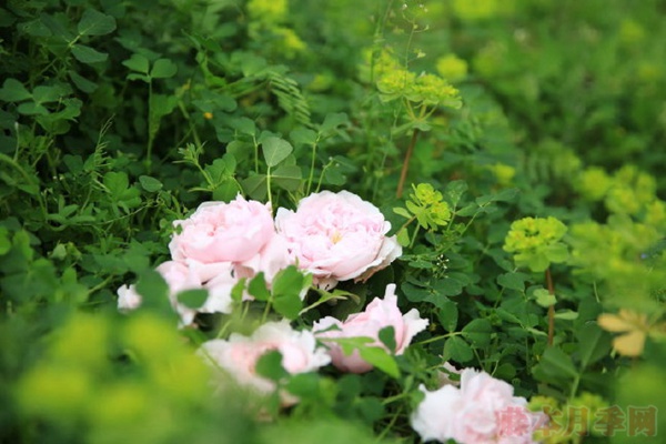 闺蜜 闺蜜